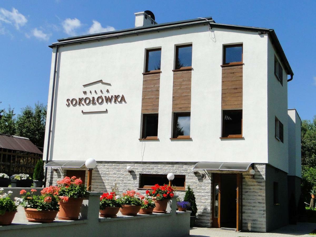 Willa Sokolowka Bad Altheide Exterior foto