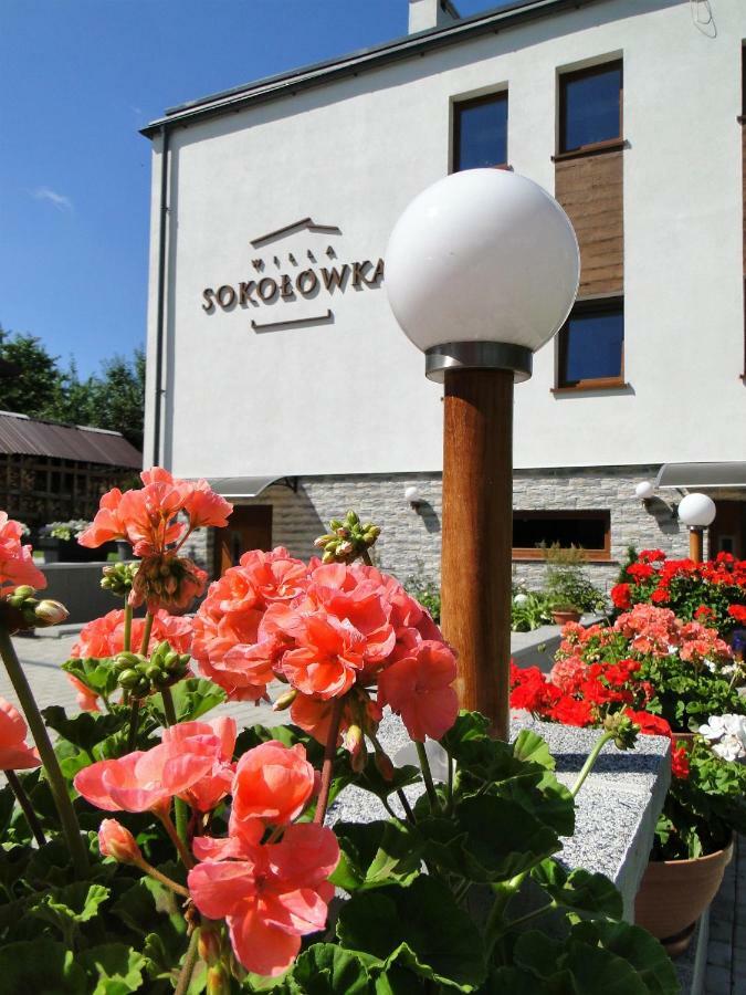 Willa Sokolowka Bad Altheide Exterior foto